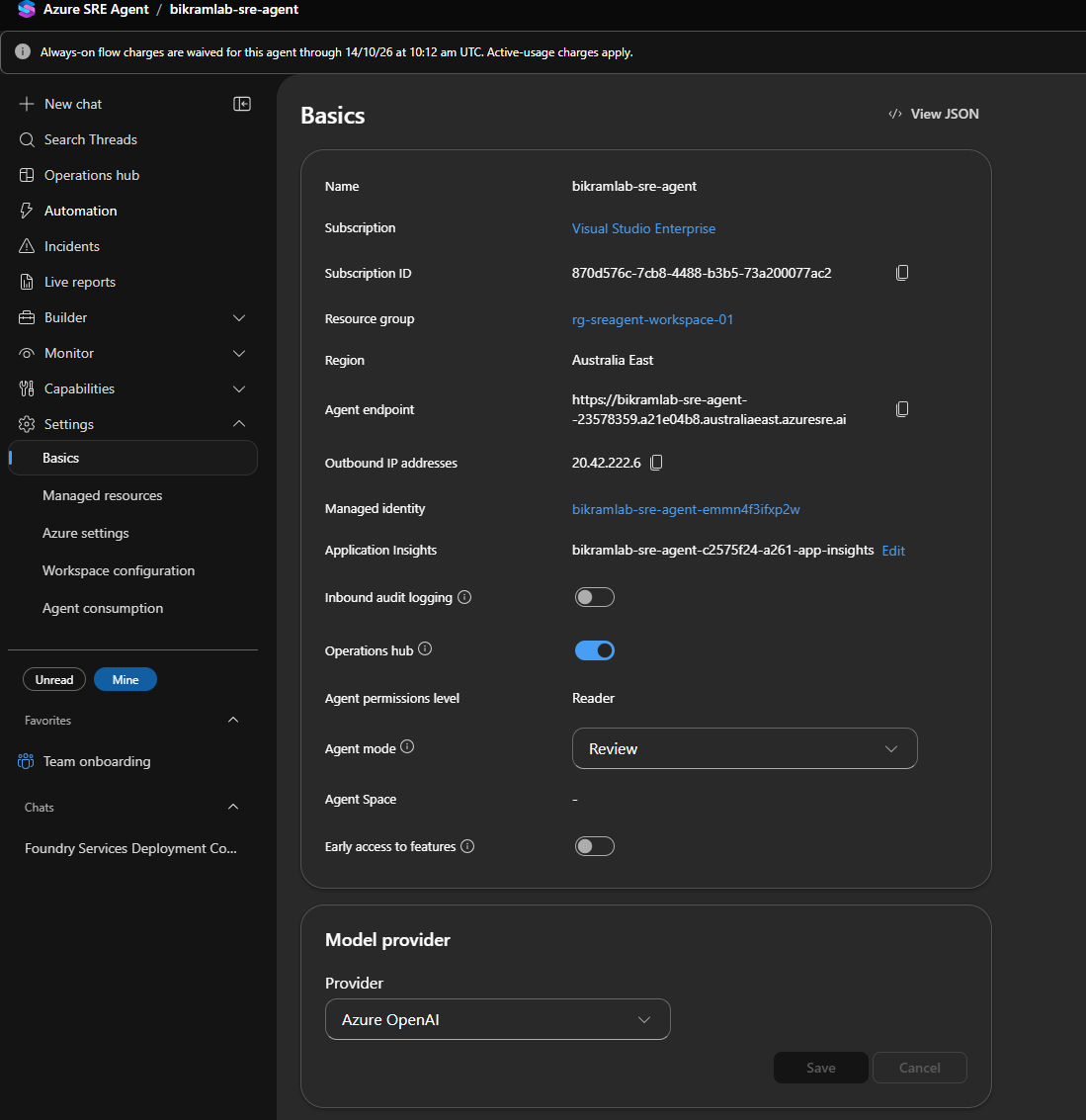 The agent basics settings page showing endpoint, identity, permissions level, and agent mode